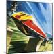 Giclee Print