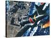Stretched Canvas Print