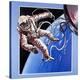Stretched Canvas Print