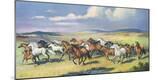 Giclee Print