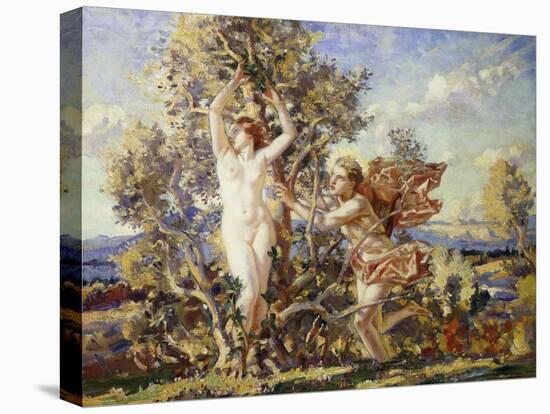 Stretched Canvas Print, , large