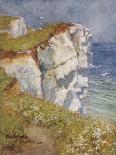 Beachy Head, Ball, 1906-Wilfrid Ball-Framed Stretched Canvas