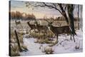 Stretched Canvas Print