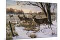 Giclee Print