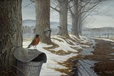 Hardwood Creek - Wild Turkeys-Wilhelm Goebel-Giclee Print