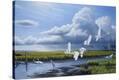 Stretched Canvas Print