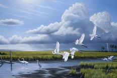 Summer Storm Egrets-Wilhelm Goebel-Giclee Print
