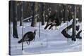 Stretched Canvas Print