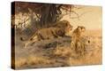 Stretched Canvas Print