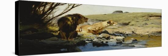 Stretched Canvas Print, , large