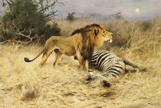 Buffalo and Lion before the Fight-Wilhelm Kuhnert-Giclee Print