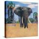 Stretched Canvas Print