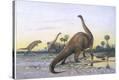 Stretched Canvas Print