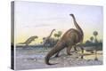 Stretched Canvas Print