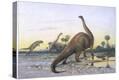 Stretched Canvas Print