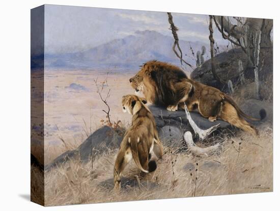 Stretched Canvas Print, , large