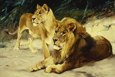 Lion and Lioness-Lowenparr-Wilhelm Kuhnert-Giclee Print