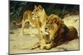 Giclee Print