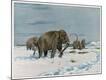 Premium Giclee Print