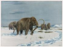 Mammoth Herd During the Ice Age-Wilhelm Kuhnert-Art Print