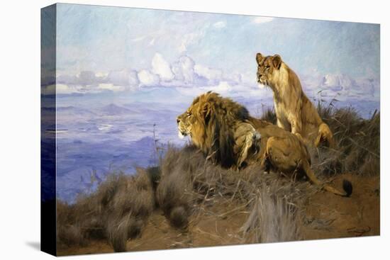 Stretched Canvas Print, , large
