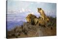 Stretched Canvas Print