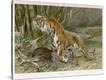 Stretched Canvas Print