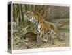 Stretched Canvas Print