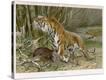 Stretched Canvas Print