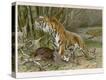 Stretched Canvas Print