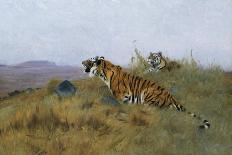 Tiger and Its Freshly Killed Prey a Deer in This Case-Wilhelm Kuhnert-Photographic Print