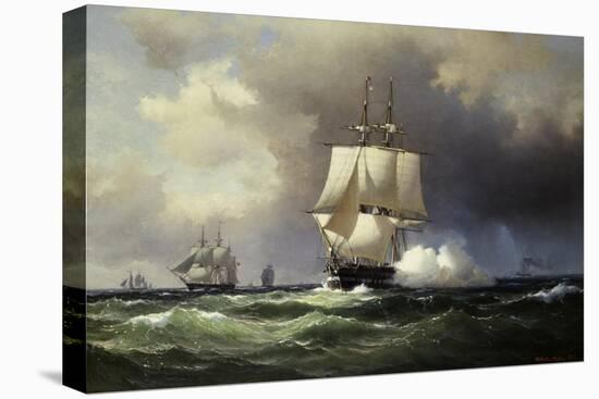 Stretched Canvas Print, , large