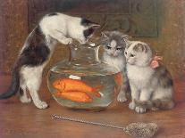 Mother Cat and Her Kittens Playing in a Paint Box-Wilhelm Schwar-Giclee Print
