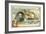 Wilhelm Von Tegetthof, Austrian Admiral, and the Battle of Lissa, 1866-null-Framed Giclee Print