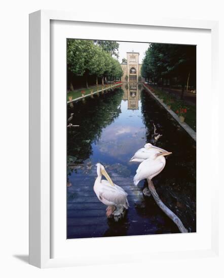 Wilhelma Zoo and Botanical Gardens, Stuttgart, Baden Wurttemberg, Germany-Yadid Levy-Framed Photographic Print