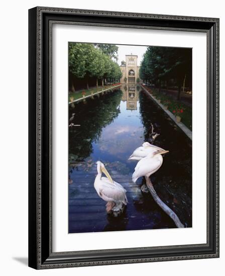 Wilhelma Zoo and Botanical Gardens, Stuttgart, Baden Wurttemberg, Germany-Yadid Levy-Framed Photographic Print