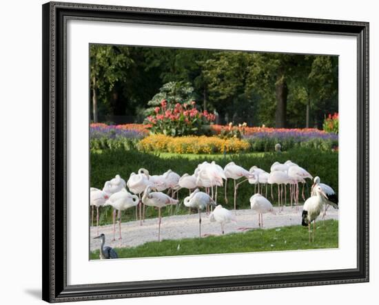 Wilhelma Zoo and Botanical Gardens, Stuttgart, Baden Wurttemberg, Germany-Yadid Levy-Framed Photographic Print