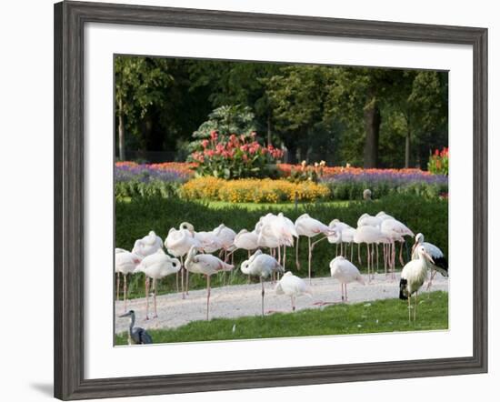 Wilhelma Zoo and Botanical Gardens, Stuttgart, Baden Wurttemberg, Germany-Yadid Levy-Framed Photographic Print