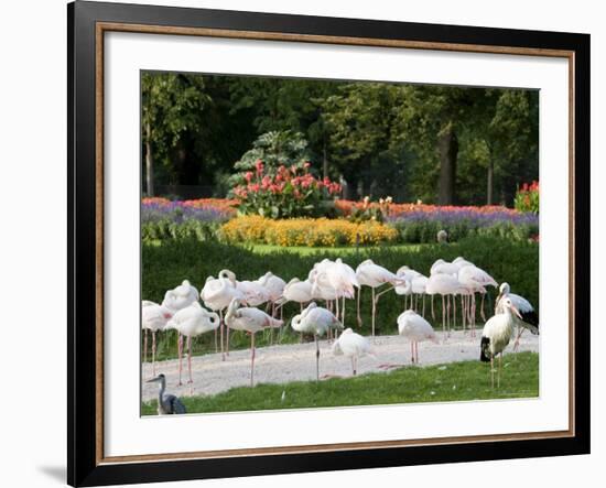 Wilhelma Zoo and Botanical Gardens, Stuttgart, Baden Wurttemberg, Germany-Yadid Levy-Framed Photographic Print