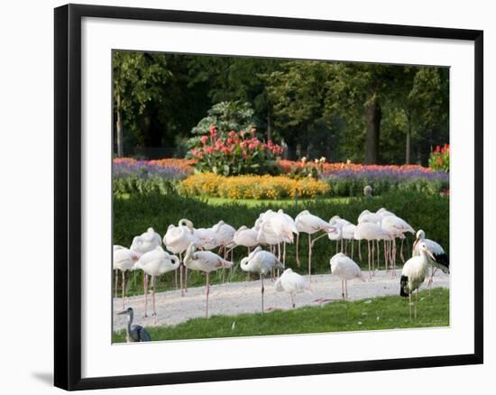 Wilhelma Zoo and Botanical Gardens, Stuttgart, Baden Wurttemberg, Germany-Yadid Levy-Framed Photographic Print