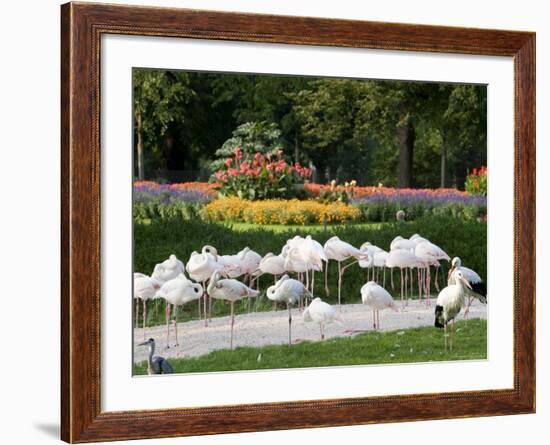 Wilhelma Zoo and Botanical Gardens, Stuttgart, Baden Wurttemberg, Germany-Yadid Levy-Framed Photographic Print