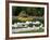 Wilhelma Zoo and Botanical Gardens, Stuttgart, Baden Wurttemberg, Germany-Yadid Levy-Framed Photographic Print