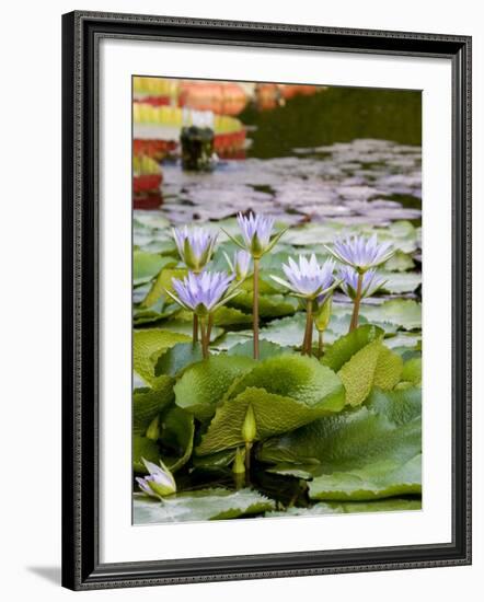 Wilhelma Zoo and Botanical Gardens, Stuttgart, Baden Wurttemberg, Germany-Yadid Levy-Framed Photographic Print