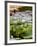 Wilhelma Zoo and Botanical Gardens, Stuttgart, Baden Wurttemberg, Germany-Yadid Levy-Framed Photographic Print