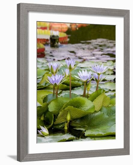 Wilhelma Zoo and Botanical Gardens, Stuttgart, Baden Wurttemberg, Germany-Yadid Levy-Framed Photographic Print