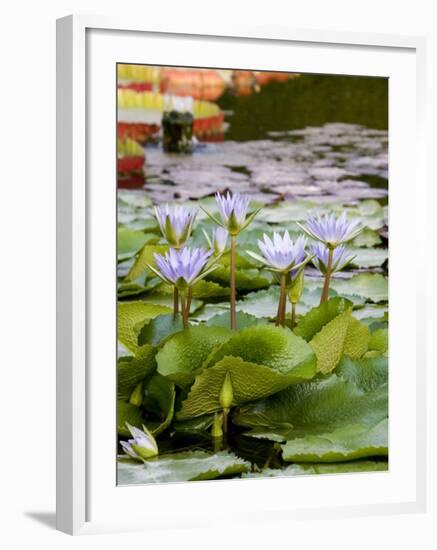 Wilhelma Zoo and Botanical Gardens, Stuttgart, Baden Wurttemberg, Germany-Yadid Levy-Framed Photographic Print