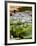 Wilhelma Zoo and Botanical Gardens, Stuttgart, Baden Wurttemberg, Germany-Yadid Levy-Framed Photographic Print