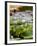 Wilhelma Zoo and Botanical Gardens, Stuttgart, Baden Wurttemberg, Germany-Yadid Levy-Framed Photographic Print