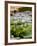 Wilhelma Zoo and Botanical Gardens, Stuttgart, Baden Wurttemberg, Germany-Yadid Levy-Framed Photographic Print