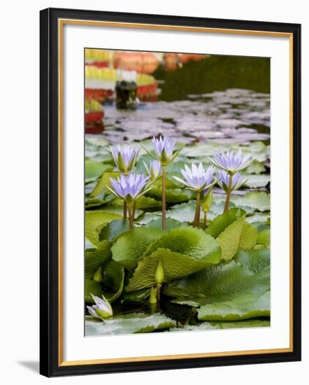 Wilhelma Zoo and Botanical Gardens, Stuttgart, Baden Wurttemberg, Germany-Yadid Levy-Framed Photographic Print